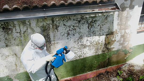 Top rated local Attic Mold Remediation specialists in Loysburg, PA